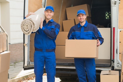 Illustration representing accessible Man With Van Ealing website content