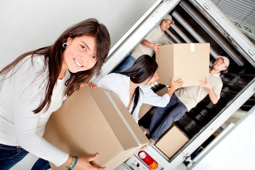 Professional review of a moving service issue